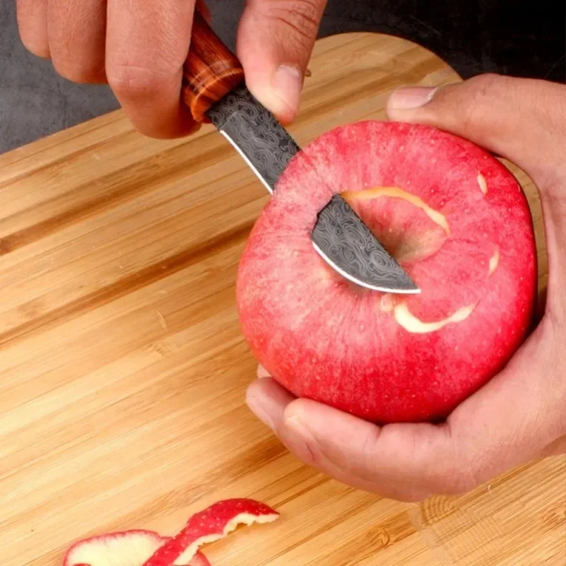 Utility Knife Slice Meat Fruit - Camping Cooking Multi Tool review and price