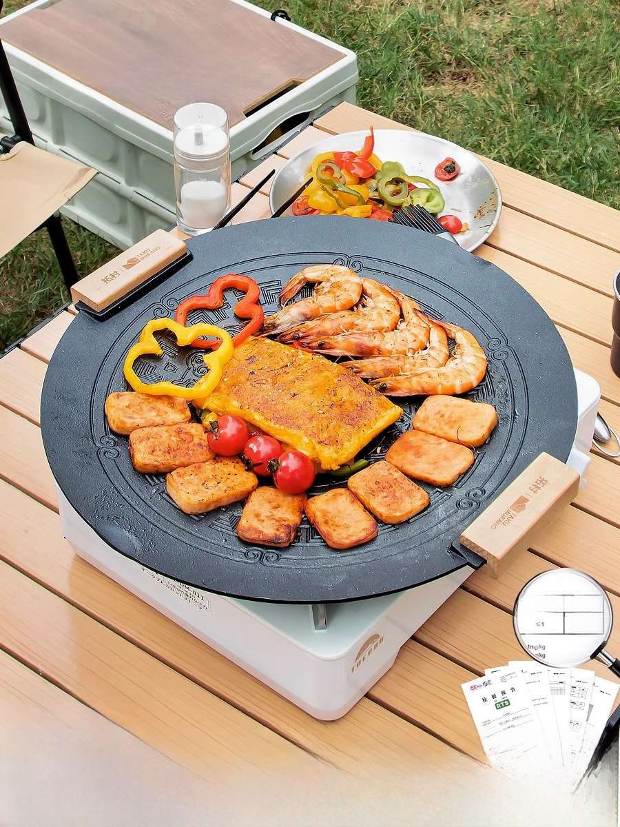 Portable Induction BBQ Grill S - Camping Cooking review and price