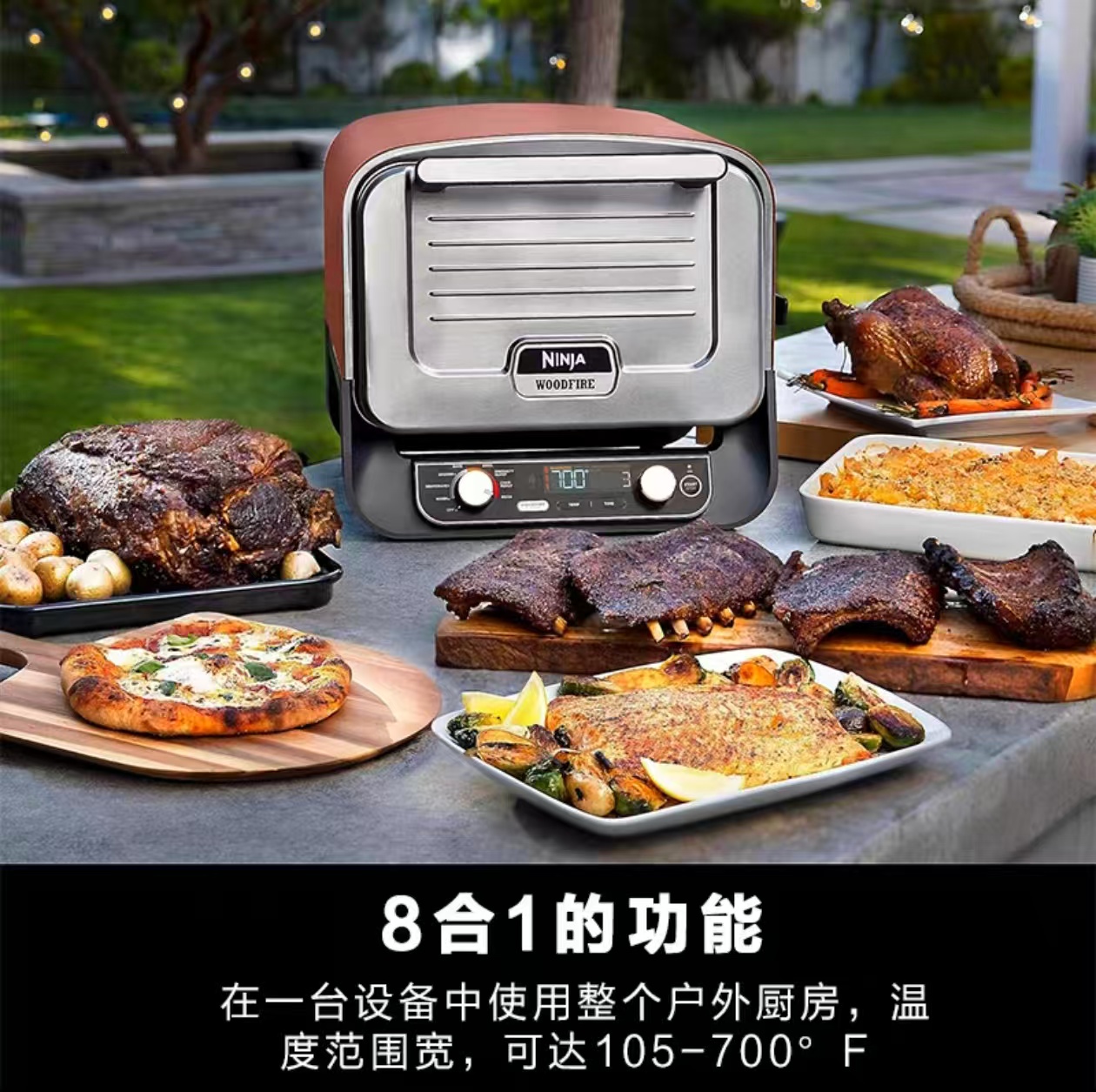 2026 Outdoor Pizza Oven for El - Camping Cooking review and price