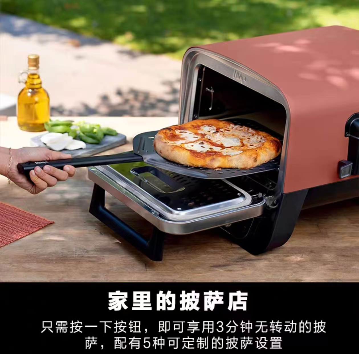 2026 Outdoor Pizza Oven for El - Camping Cooking review and price