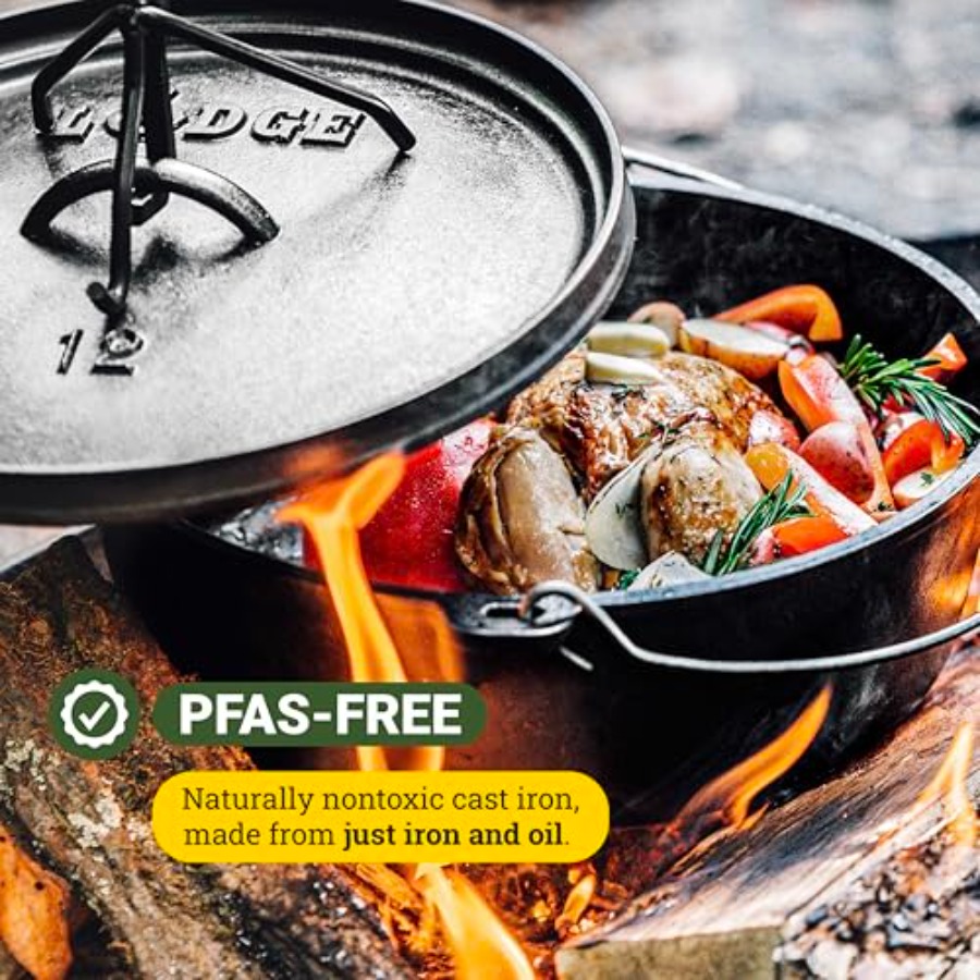 6Quart PreSeasoned Cast Iron C - Camping Cooking Cast Iron review and price