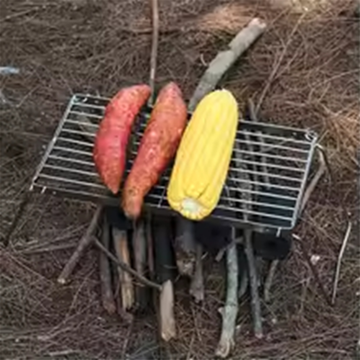 NEW Portable Stainless Steel C - Camping Cooking Equipment Electric review and price